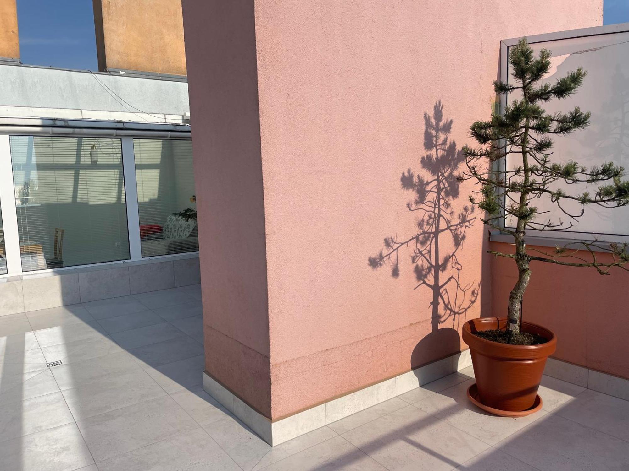 Wolin-Travel Fala Apartamenty Z Widokiem Na Morze Miedzyzdroje Exterior photo